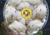 Tham quan nhà nuôi chim yến ở Đà Nẵng (Ngôi nhà đầu tiên của Bảo Yến Đà Thành)
