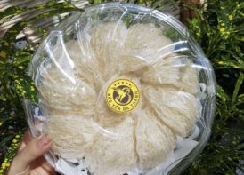 Yến Rút Lông Dạng Tổ